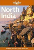 9781864503302: Lonely Planet North India