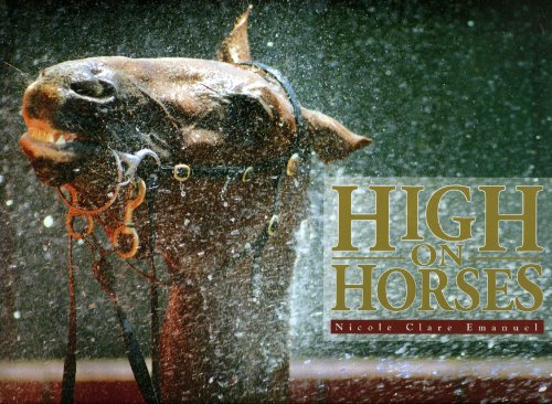 Imagen de archivo de High on Horses: From the Outback to the Arena a la venta por Greener Books