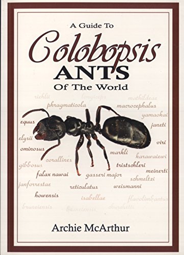 9781864767384: A Guide to Colobopsis Ants of the World