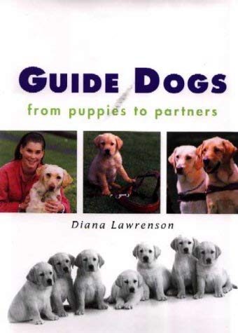 Stock image for Guide Dogs: From Puppies to Partners for sale by Reuseabook