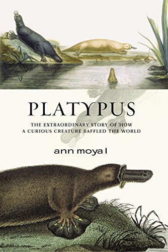 Stock image for Platypus for sale by WeBuyBooks