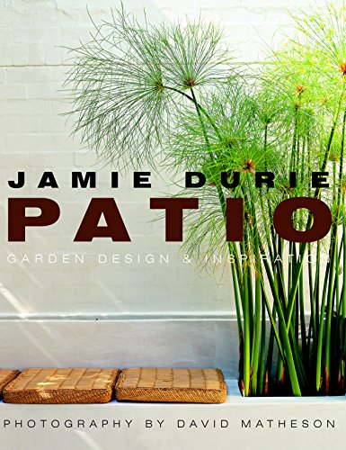 Stock image for Patio : Garden Design and Inspiration for sale by Better World Books