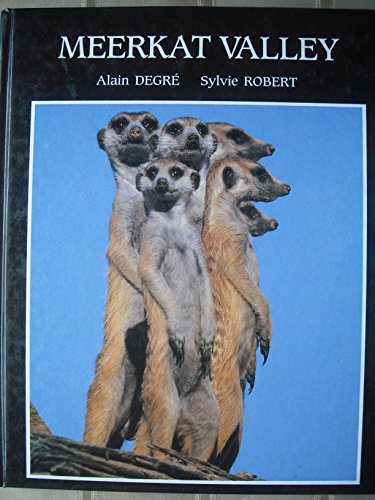 Imagen de archivo de Meerkat Valley a la venta por WorldofBooks