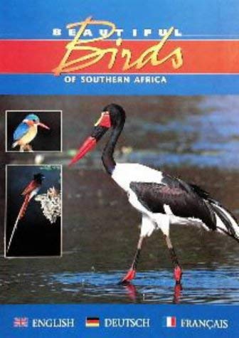 Stock image for Beautiful birds of Southern Africa for sale by GF Books, Inc.