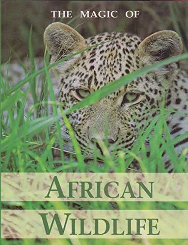 The Magic Of African Wildlife