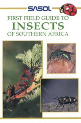 First Field Guide to Insects of Southern Africa