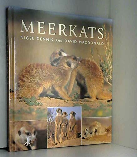 Beispielbild fr Meerkats zum Verkauf von WorldofBooks