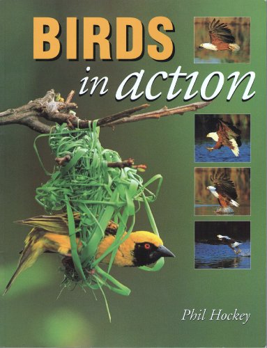 Stock image for Birds in Action for sale by Chapter 1