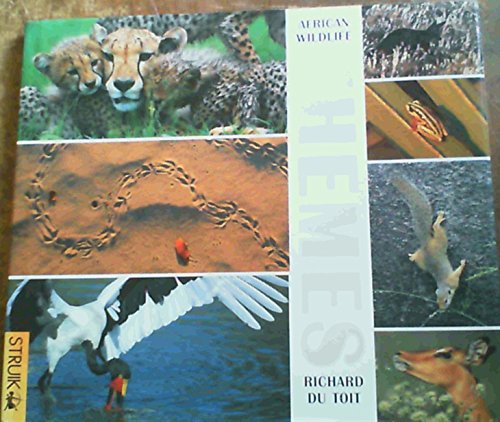 Stock image for African Wildlife Themes for sale by WorldofBooks