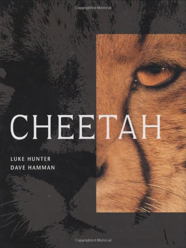 Imagen de archivo de Cheetah a la venta por ThriftBooks-Atlanta