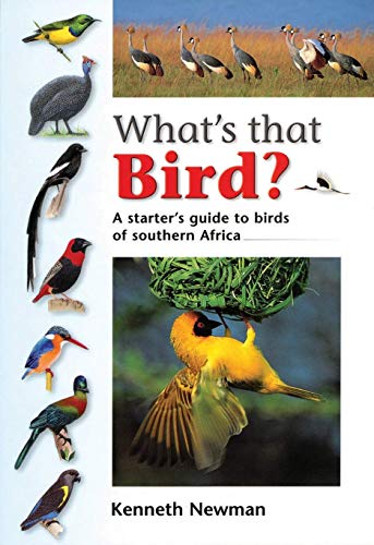 Stock image for What's That Bird? for sale by WorldofBooks
