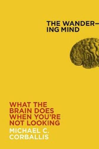 9781869408114: The Wandering Mind: What the Brain Does When You're Not Looking