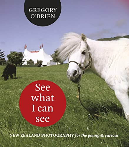 9781869408435: See What I can See: New Zealand Photography for the Young and Curious