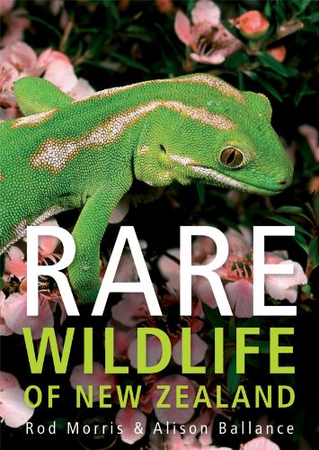 Stock image for Rare Wildlife of New Zealand for sale by RPL Library Store