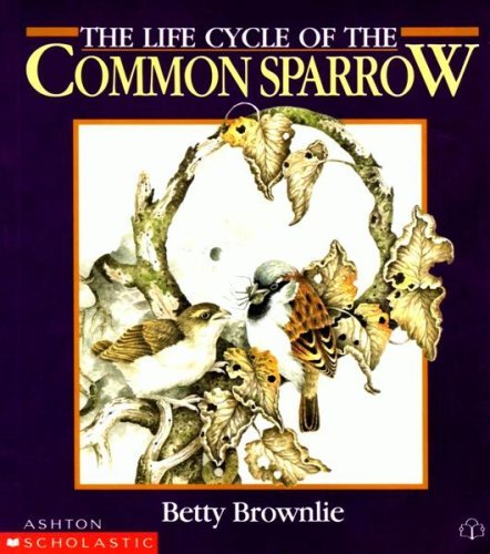 Stock image for The Life Cycle of the Common Sparrow for sale by AwesomeBooks