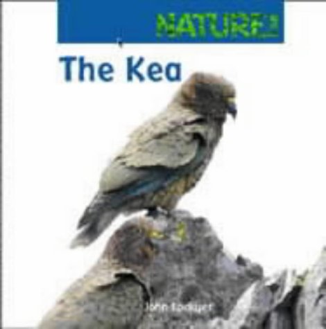 Imagen de archivo de The Kea a la venta por Better World Books