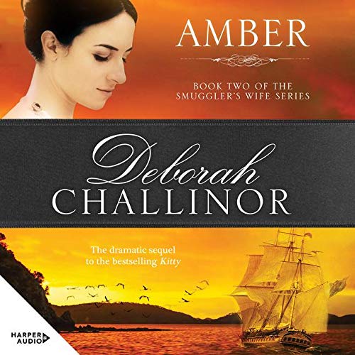 Stock image for Amber for sale by Book Express (NZ)