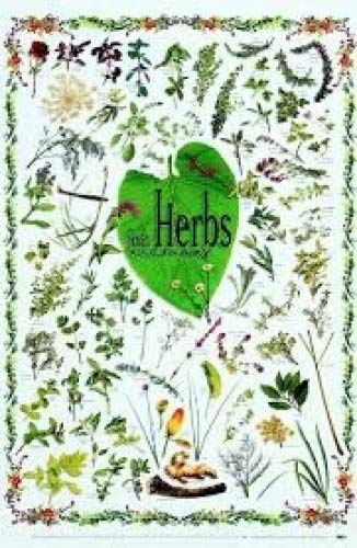 Stock image for Herbs for Healing in New Zealand for sale by MusicMagpie