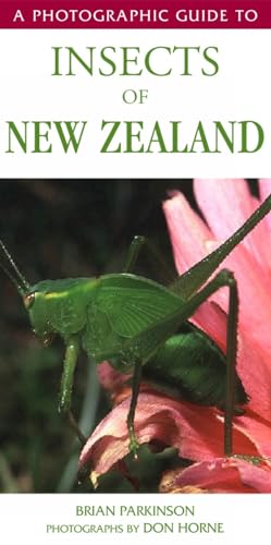 Beispielbild fr A Photographic Guide to Insects of New Zealand zum Verkauf von Blackwell's