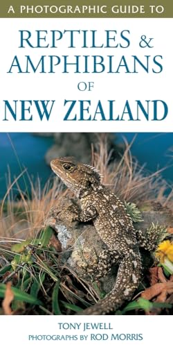 Stock image for A Photographic Guide to Reptiles and Amphibians of New Zealand for sale by The Bookseller
