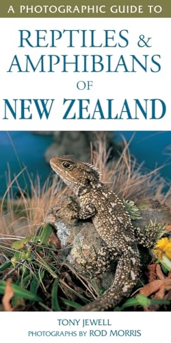 9781869662035: A Photographic Guide To Reptiles & Amphibians Of New Zealand