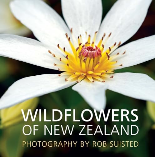 Stock image for Wildflowers of New Zealand for sale by Goldstone Books