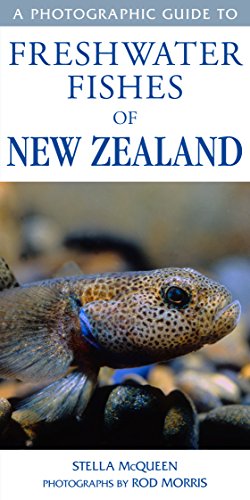 Stock image for Photographic Guide to Freshwater Fishes of New Zealand for sale by GreatBookPrices