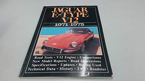 Beispielbild fr Jaguar E Type V12 1971-75 Road Test Book zum Verkauf von ReadAmericaBooks