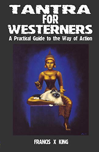 Imagen de archivo de Tantra for Westerners A Practical Guide to the Way of Action a la venta por PBShop.store US