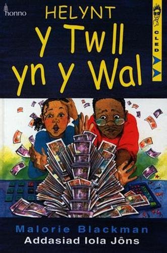 Stock image for Cyfres Cled: Helynt y Twll yn y Wal for sale by Goldstone Books