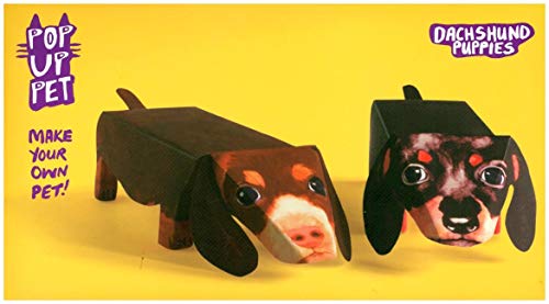 9781870375474: Pop Up Pet Dachshund Puppies: Make your own 3D card pet!
