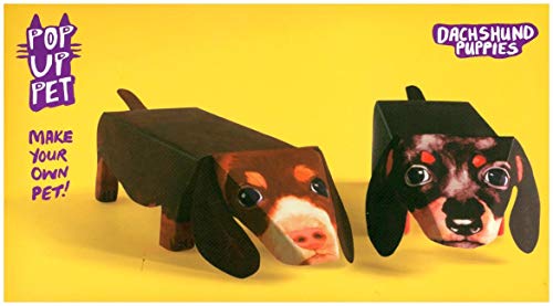 Imagen de archivo de Pop Up Pet Daschund Puppies a la venta por WorldofBooks