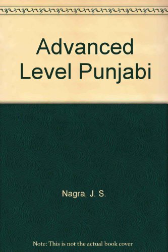 9781870383028: Advanced Level Punjabi