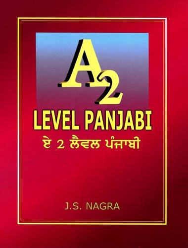 Beispielbild fr A2 Level Panjabi zum Verkauf von WorldofBooks