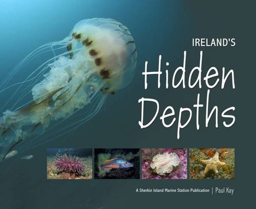 Stock image for Ireland's Hidden Depths for sale by WorldofBooks
