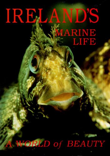 Beispielbild fr Ireland's Marine Life: A World of Beauty zum Verkauf von WorldofBooks