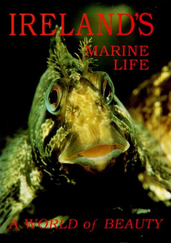 Ireland's Marine Life. a World of Beauty.