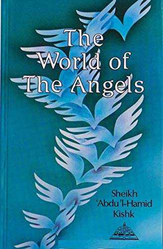 Beispielbild fr World of the Angels zum Verkauf von AwesomeBooks