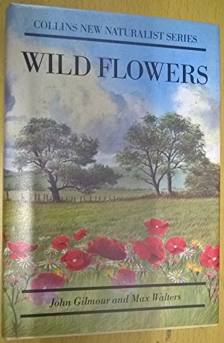 9781870630788: Wild Flowers