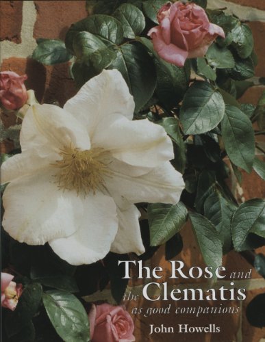 THE ROSE AND THE CLEMATIS. As Good Companions.