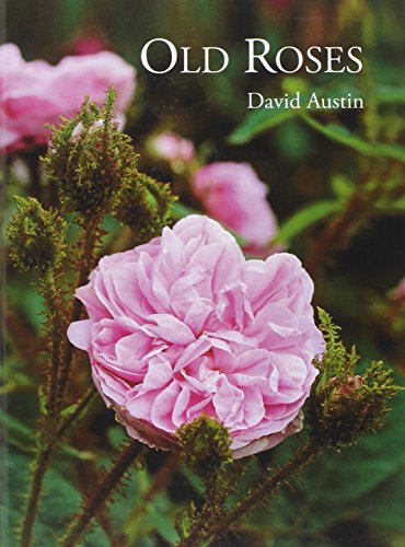 Old Roses (9781870673693) by Austin, David