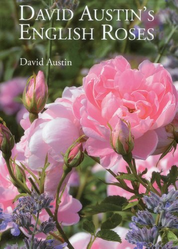 9781870673709: David Austin's English Roses