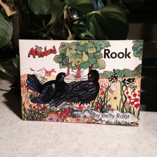 Rook (Jolly Phonics) (9781870946124) by Root, Betty