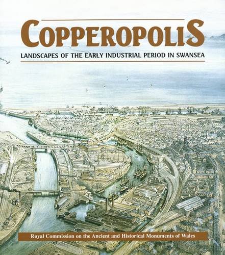 Copperopolis (9781871184273) by Hughes, Stephen