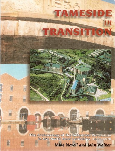 Stock image for Tameside in Transition: The Archaeology of the Industrial Revolution in Two North West Lordships, 1642-1870 for sale by Richard Sylvanus Williams (Est 1976)