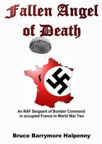 Beispielbild fr Fallen Angel of Death: An RAF Sergeant of Bomber Command in Occupied France in World War Two zum Verkauf von MusicMagpie
