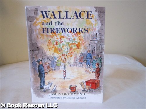 Beispielbild fr Wallace and the Fireworks zum Verkauf von WorldofBooks