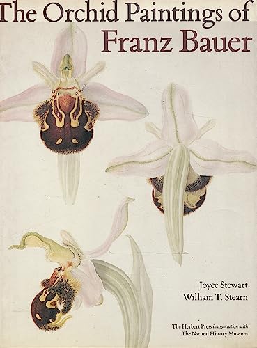 Imagen de archivo de The Orchid Paintings of Franz Bauer (Art Reference) a la venta por WorldofBooks
