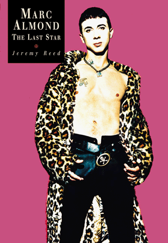 Imagen de archivo de The Last Star: Biography of Marc Almond a la venta por Goldstone Books