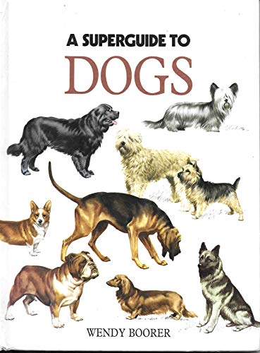 Stock image for A Superguide to Dogs for sale by AwesomeBooks